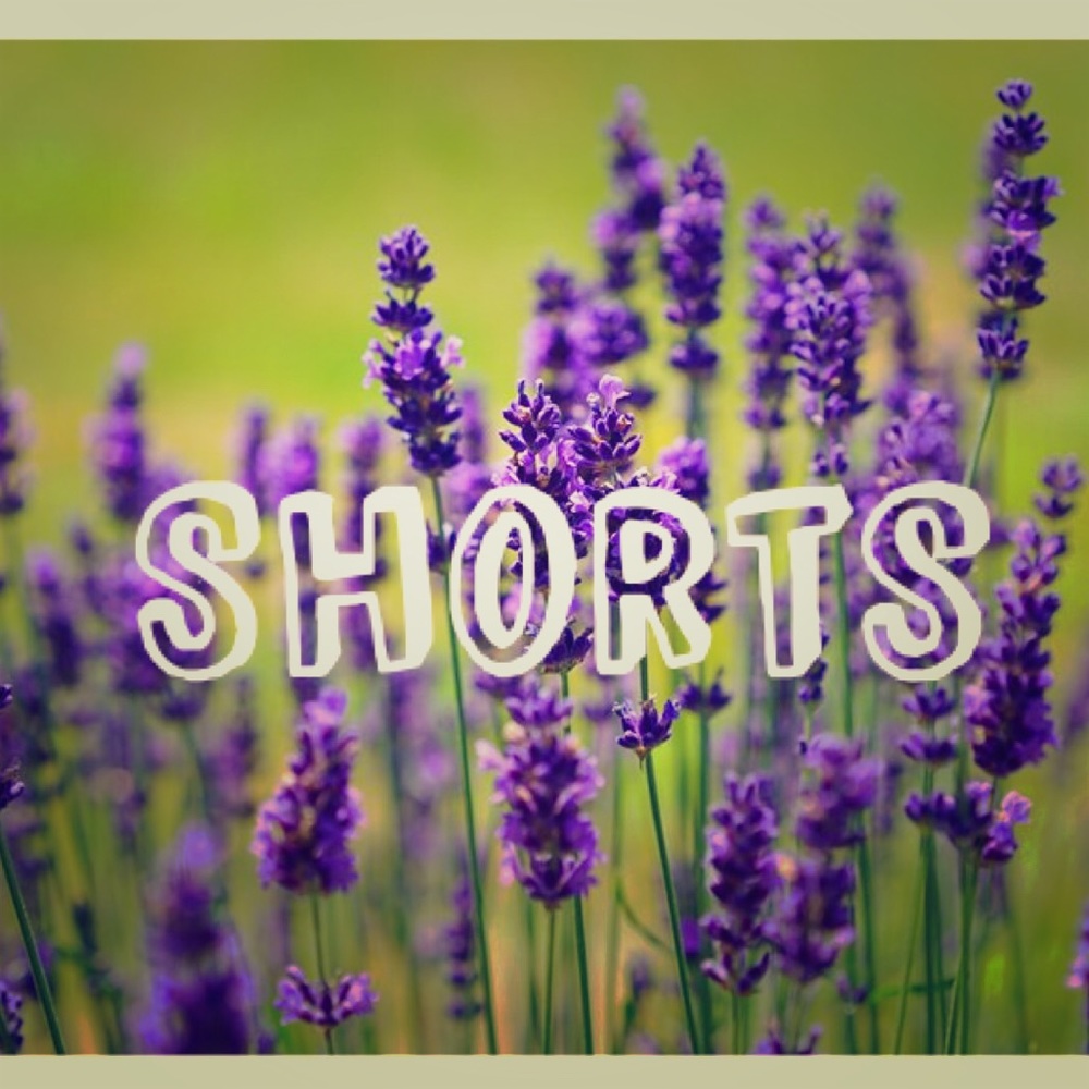 🌻Shorts🌻